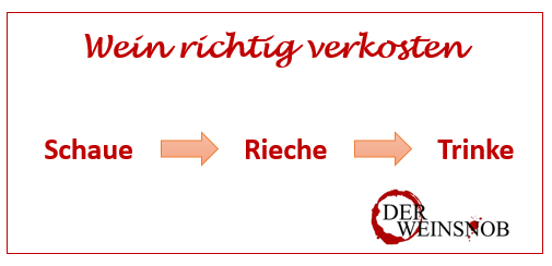wein-richtig-verkosten