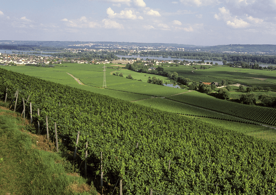 Deutscher-Wein