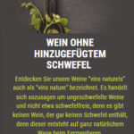 Wein ohne Sulfite: Der Weinsnob klärt auf