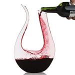 Dekanter Test 2024 – die 19 besten Wein Dekanter