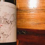 Carolina Rdeča von Jakončič – Rotwein aus Slowenien